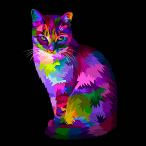 猫图片耍酷图片