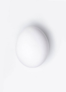 白色背景下的鸡蛋全特写