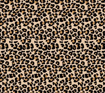 豹纹纹理背景. 动物指纹. 豹皮毛质地.照片