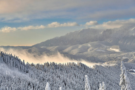 在特兰西瓦尼亚松林滑雪场的坡亚纳布拉索夫滑雪场的全景，在冬天的季节，山间景观在冬天，背景是布西吉山
