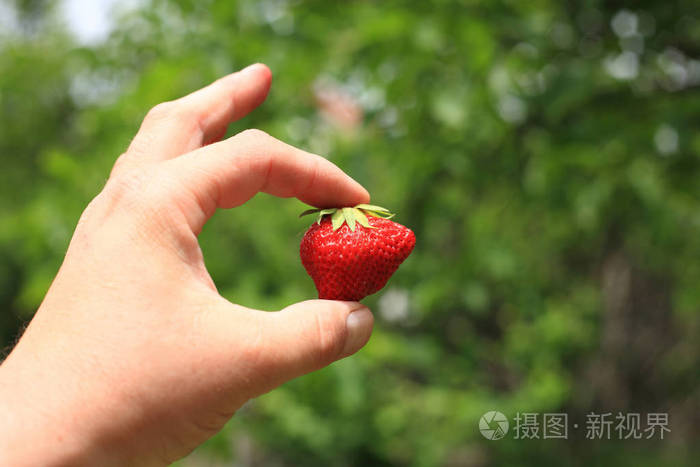 手里拿着草莓