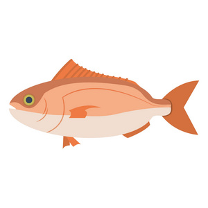 健康鱼海食品制作矢量插图