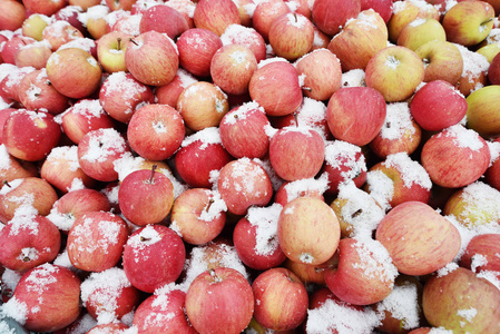 在户外市场上，一堆苹果等着做成苹果汁