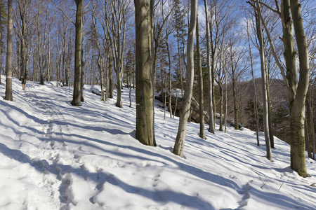 白雪皑皑的北波西米亚风景杰泽斯克山脉捷克共和国