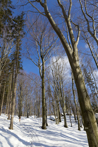 白雪皑皑的北波西米亚风景杰泽斯克山脉捷克共和国