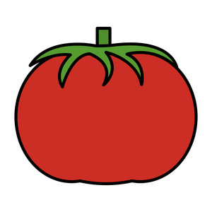 彩色有机番茄蔬菜天然食品插图