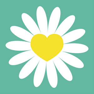 白色雏菊洋甘菊图标。 黄色心脏中心。 可爱的花卉植物收藏。 情人节爱情卡。 Camomile增长概念。 平面设计。 绿色背景。 