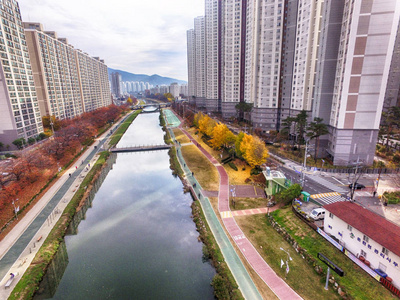 韩国釜山公民公园秋