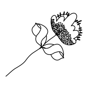 线条花卉植物风格，外来叶矢量插图