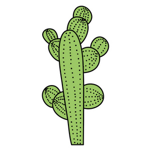 彩色植物学仙人掌沙漠自然植物矢量插图