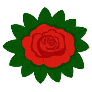 花玫瑰红芽和绿叶。 孤立于白色背景