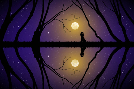 月光下的夜晚，树间的恋人。 矢量插图与爱的夫妇的轮廓。 满月的星空