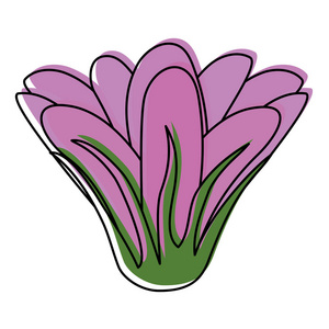 自然花瓣设计矢量插图