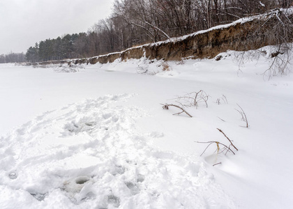 踏雪，在冬季河流的冰洞周围有钓鱼者的痕迹，从悬崖和森林树木附近的冰中伸出树枝。