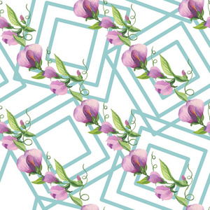 水彩花图案与甜豌豆花。 花以水彩风格留下豆荚和卷须。用于印刷织物纸背景等的时尚印花的优雅图案。 插图。
