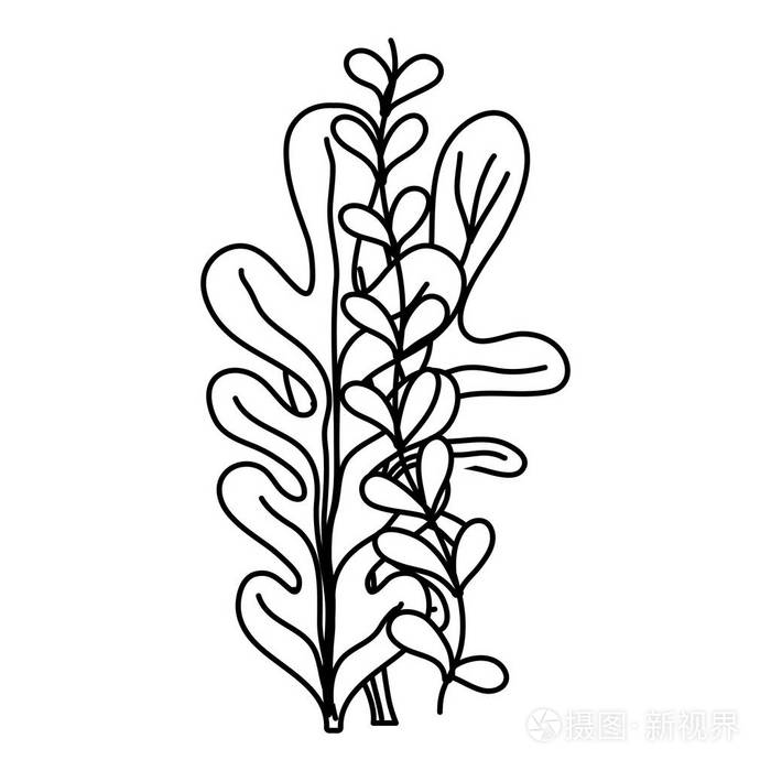 海草性质海洋植物设计图示插画