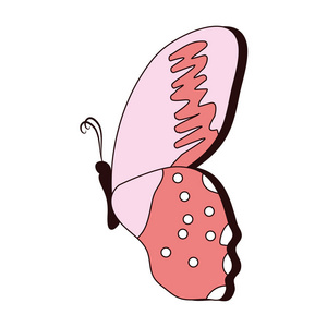美丽蝴蝶昆虫翅膀装饰矢量插图