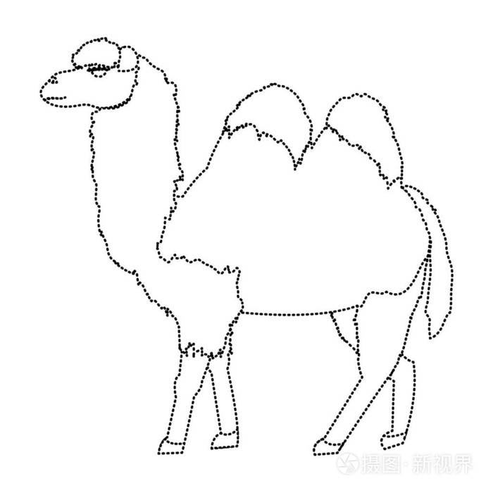 虚线可爱的自然骆驼沙漠动物矢量图