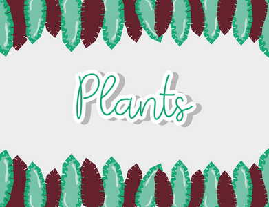 色彩斑斓的植物框架背景矢量插图平面设计
