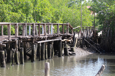 过江藤老断木桥过江,绿树成荫照片