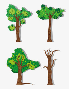 一套森林树木收集矢量插图平面设计