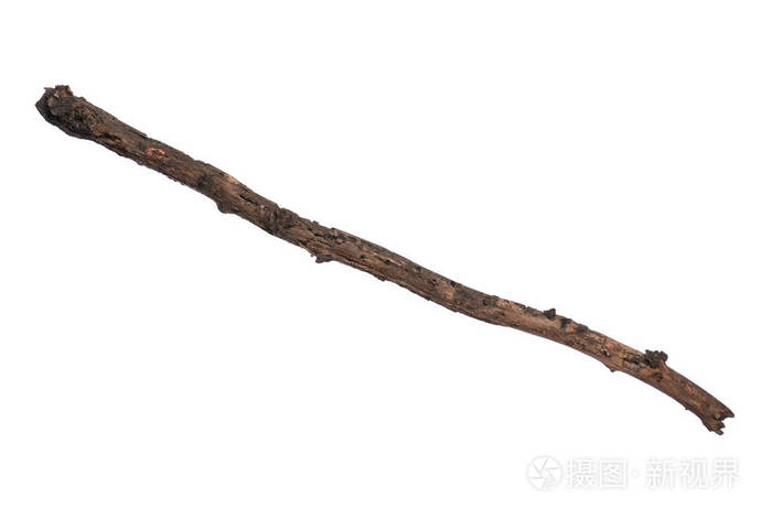 从自然中粘树枝进行设计.