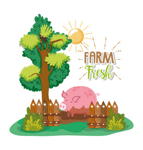 农场新鲜卡通与猪和树矢量插图平面设计