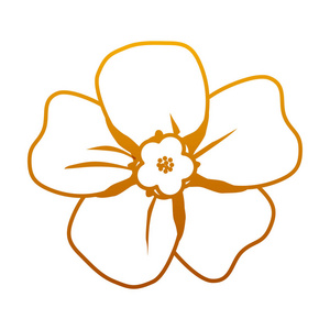 退化线美丽花饰可爱花瓣矢量插图照片