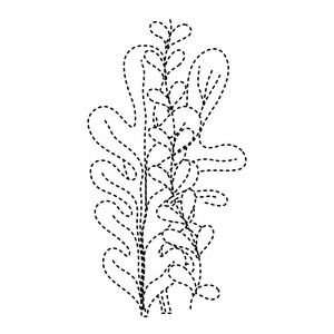 虚线形状海藻性质海洋植物设计图示