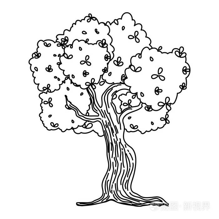 带茎和叶的线条自然树