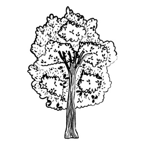 粗糙的外来树与枝叶风格的矢量插图