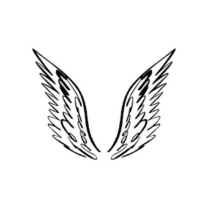 手绘鸟翅膀图片