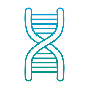 降解线DNA科学医学分子结构矢量图