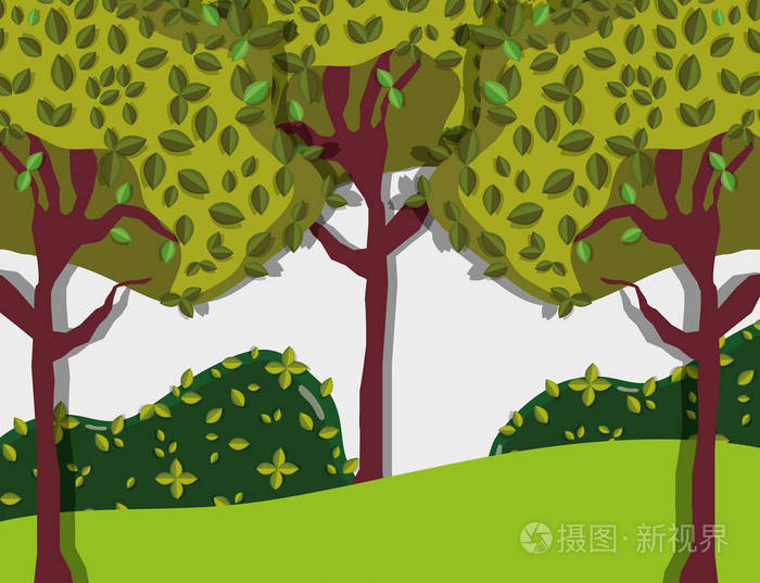 美丽的森林风景卡通插图图形设计