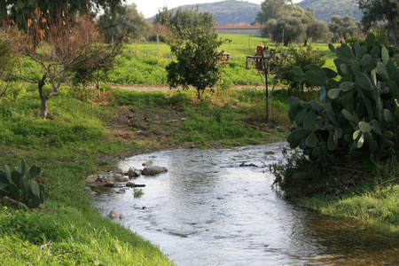 1月，塞浦路斯皮尔戈斯村利马索尔地区的一条小河，河岸上长满了绿草和仙人掌