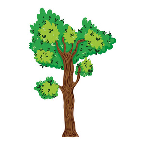 热带树种，枝叶设计矢量插图