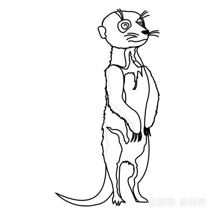 沙漠矢量插图中可爱的野生猫鼬动物插画-正版商用图片17v14k-摄图新