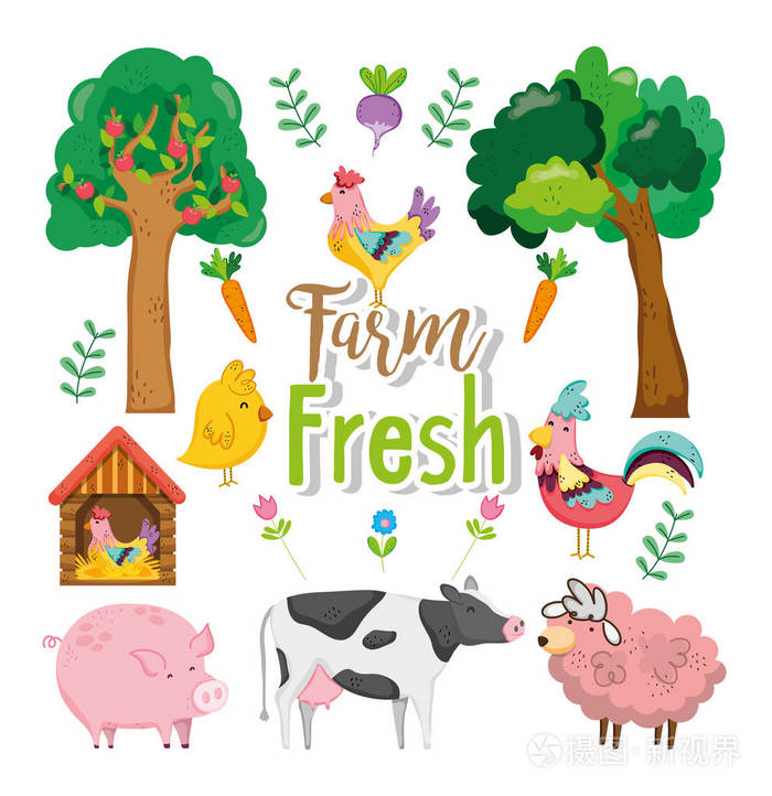 可爱的农场新鲜卡通动物矢量插图平面设计