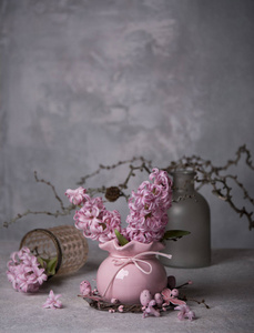 在干燥的树枝背景上，用粉红色花瓶合上风信子的花