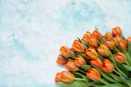 浅蓝色背景上的橙色郁金香花束。复制空间顶部视图。 平躺情人节母亲节生日庆祝概念