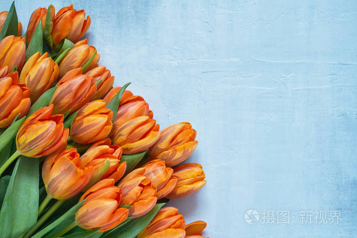 蓝色背景上的橙色郁金香花束。复制空间顶部视图。 节日背景贺卡。 平躺情人节母亲节生日庆祝概念