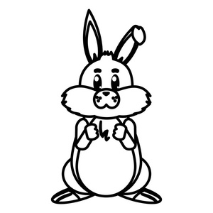 线条美大自然野兔动物插图