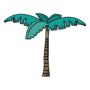 热带棕榈树自然设计矢量图