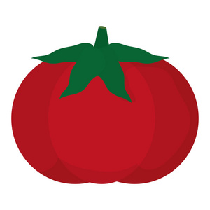 美味的新鲜番茄蔬菜食品插图