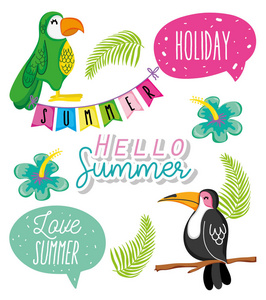 你好，夏季卡通，五颜六色的异国鸟矢量插图，平面设计