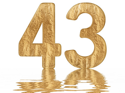 徽标设计元素集43数字数字43数字标志图标几何企业身份矢量图43年黄金