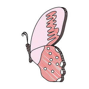 涂鸦美容蝴蝶昆虫翅膀装饰矢量插图