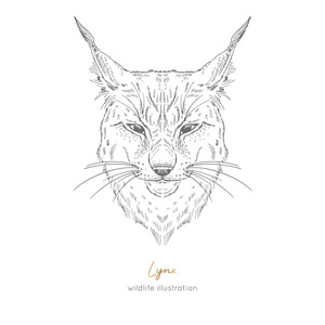 对称豆子画图片