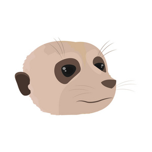 可爱的猫鼬头野生动物矢量插图图片