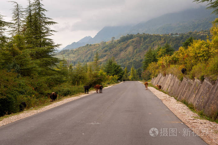 阿布哈兹的山区景观。